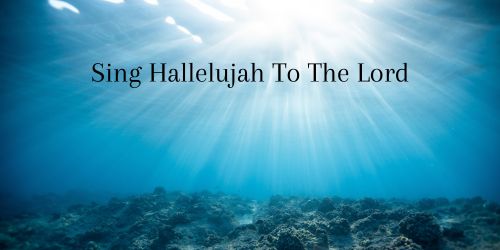 Do You Say Hallelujah When You are Praising God?